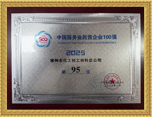 2025中国服务业民营企业100强